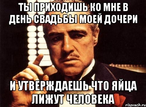 ты приходишь ко мне в день свадьбы моей дочери и утверждаешь что яйца лижут человека, Мем крестный отец