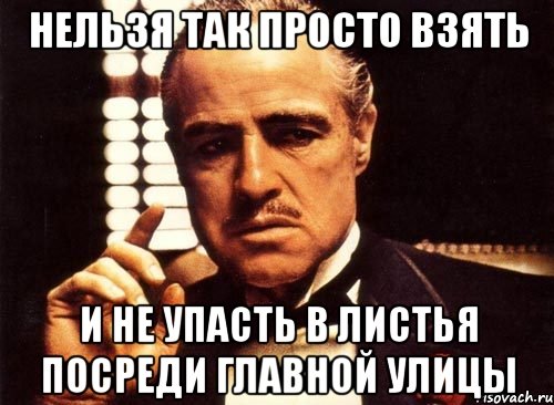 нельзя так просто взять и не упасть в листья посреди главной улицы, Мем крестный отец