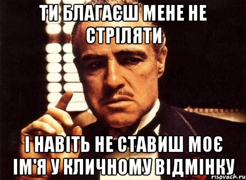 ти благаєш мене не стріляти і навіть не ставиш моє ім'я у кличному відмінку, Мем крестный отец