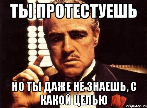 ты протестуешь но ты даже не знаешь, с какой целью, Мем крестный отец