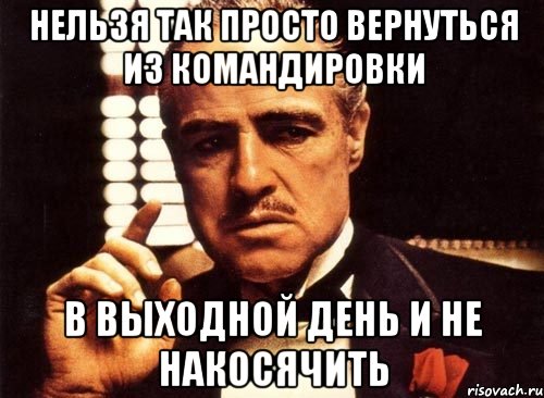 нельзя так просто вернуться из командировки в выходной день и не накосячить, Мем крестный отец