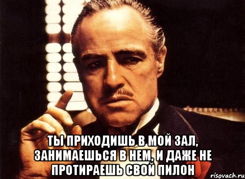  ты приходишь в мой зал, занимаешься в нем, и даже не протираешь свой пилон, Мем крестный отец