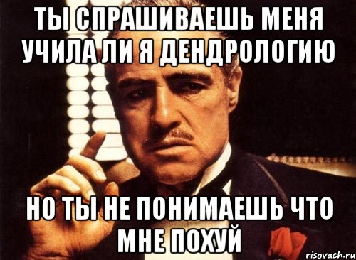 ты спрашиваешь меня учила ли я дендрологию но ты не понимаешь что мне похуй, Мем крестный отец