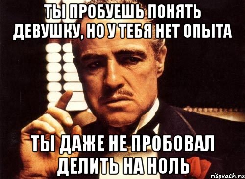 ты пробуешь понять девушку, но у тебя нет опыта ты даже не пробовал делить на ноль, Мем крестный отец