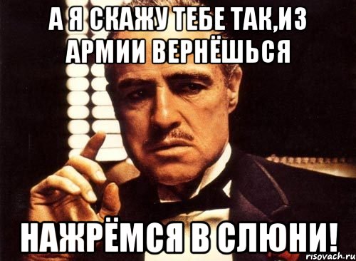 а я скажу тебе так,из армии вернёшься нажрёмся в слюни!, Мем крестный отец