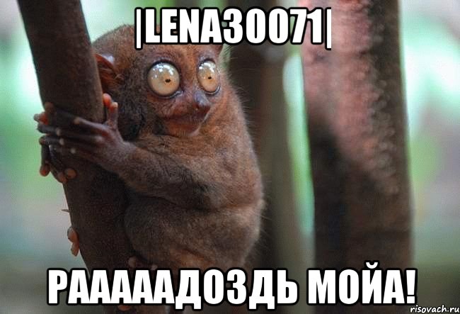 |lena30071| рааааадоздь мойа!, Мем лемур на дереве