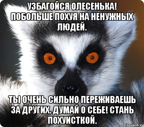 узбагойся олесенька! побольше похуя на ненужных людей. ты очень сильно переживаешь за других. думай о себе! стань похуисткой., Мем лемур