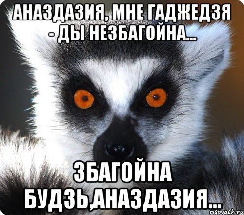 аназдазия, мне гаджедзя - ды незбагойна... збагойна будзь,аназдазия..., Мем лемур