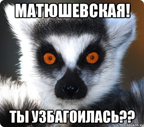 матюшевская! ты узбагоилась??, Мем лемур