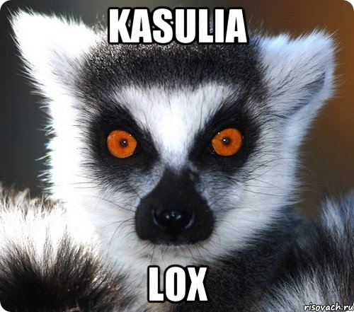 kasulia lox, Мем лемур