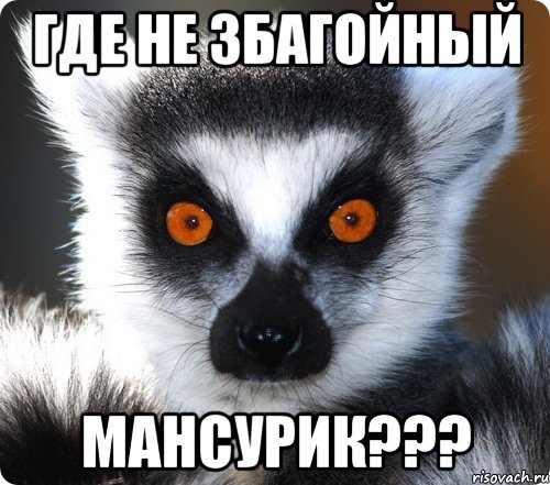 где не збагойный мансурик???, Мем лемур