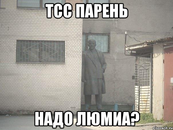 тсс парень надо люмиа?, Мем  Ленин за углом (пс, парень)