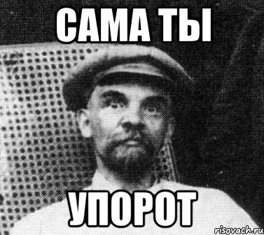 сама ты упорот, Мем   Ленин удивлен