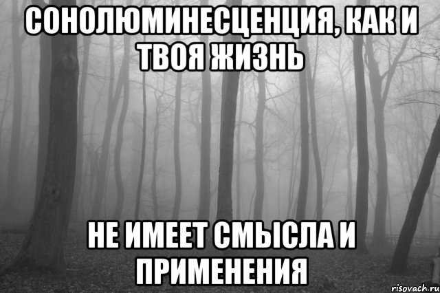 сонолюминесценция, как и твоя жизнь не имеет смысла и применения, Мем лес