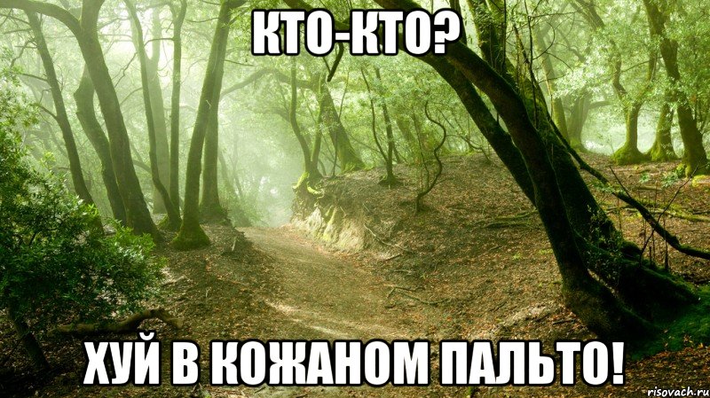 кто-кто? хуй в кожаном пальто!, Мем лес