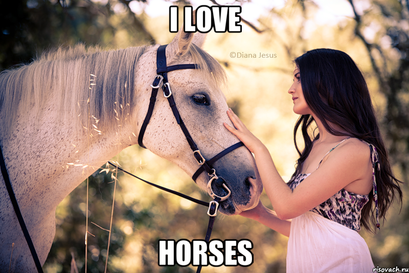 i love horses