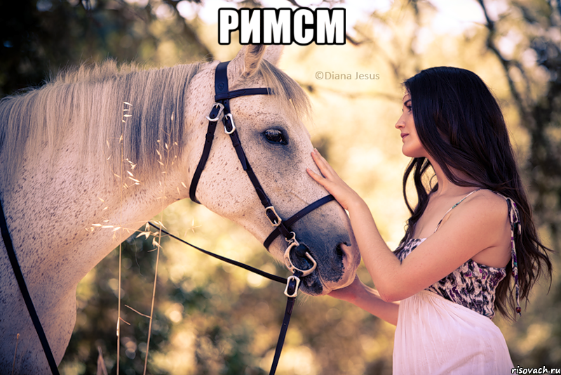 римсм 