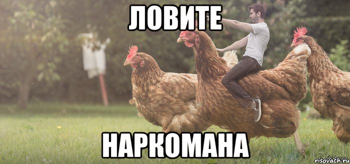 ловите наркомана