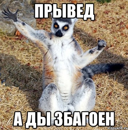 прывед а ды збагоен