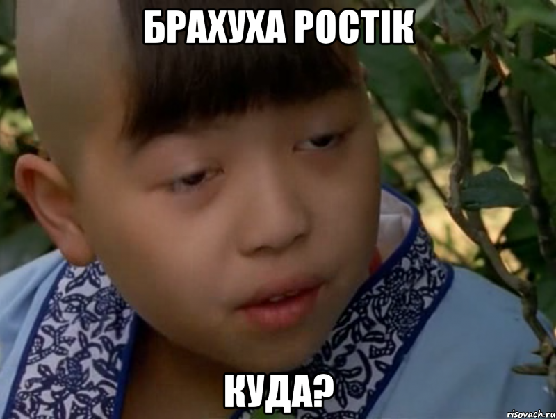 брахуха ростік куда?