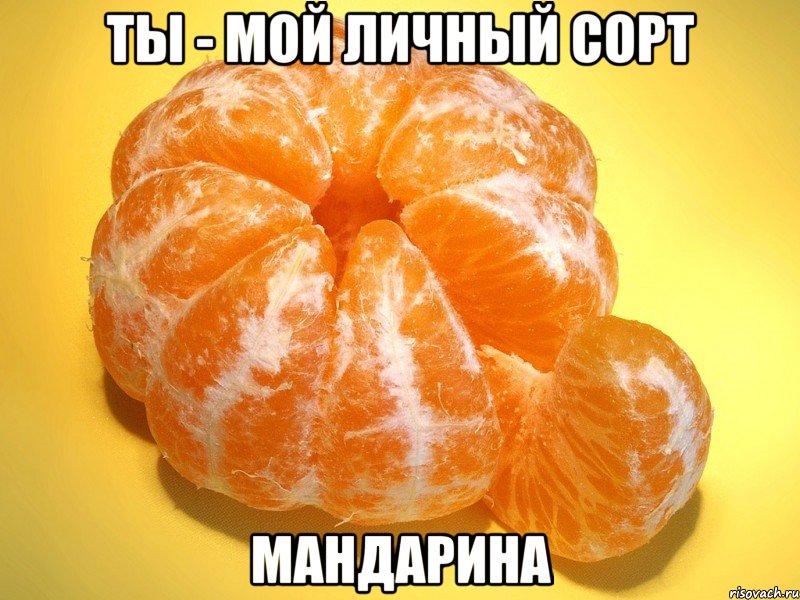 ты - мой личный сорт мандарина