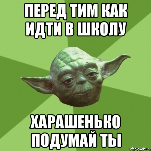 перед тим как идти в школу харашенько подумай ты, Мем Мастер Йода