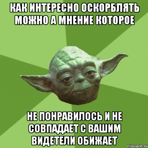 как интересно оскорблять можно а мнение которое не понравилось и не совпадает с вашим видетели обижает, Мем Мастер Йода