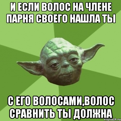 и если волос на члене парня своего нашла ты с его волосами,волос сравнить ты должна, Мем Мастер Йода