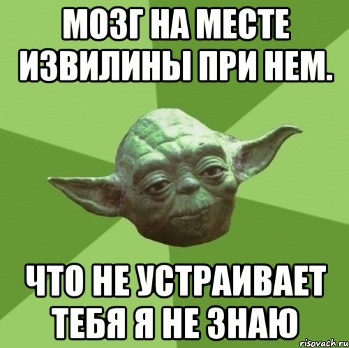 мозг на месте извилины при нем. что не устраивает тебя я не знаю, Мем Мастер Йода