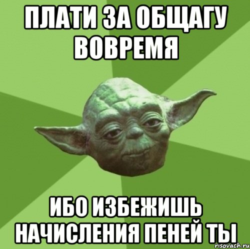 плати за общагу вовремя ибо избежишь начисления пеней ты, Мем Мастер Йода