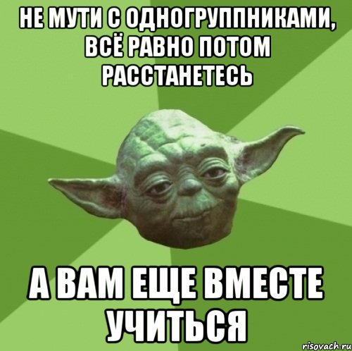 не мути с одногруппниками, всё равно потом расстанетесь а вам еще вместе учиться, Мем Мастер Йода