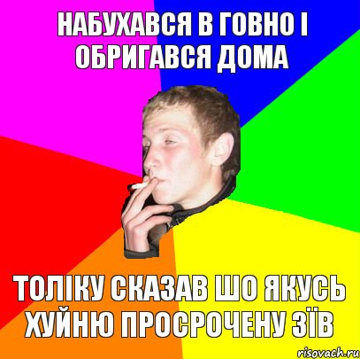 набухався в говно і обригався дома толіку сказав шо якусь хуйню просрочену зїв