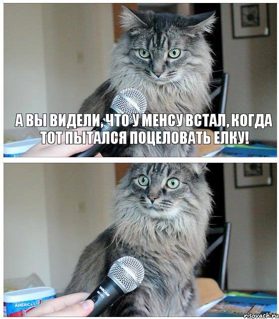 А вы видели, что у Менсу встал, когда тот пытался поцеловать Елку!, Комикс  кот с микрофоном