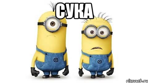 сука 