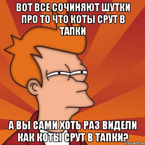 вот все сочиняют шутки про то что коты срут в тапки а вы сами хоть раз видели как коты срут в тапки?, Мем Мне кажется или (Фрай Футурама)