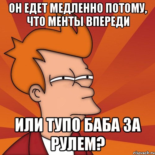 он едет медленно потому, что менты впереди или тупо баба за рулем?, Мем Мне кажется или (Фрай Футурама)