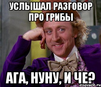 услышал разговор про грибы ага, нуну, и че?, Мем мое лицо