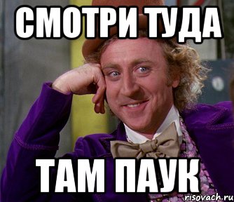 смотри туда там паук, Мем мое лицо