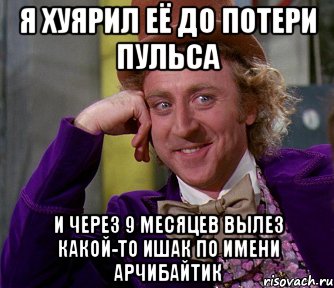 я хуярил её до потери пульса и через 9 месяцев вылез какой-то ишак по имени арчибайтик, Мем мое лицо