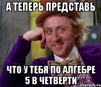 а теперь представь что у тебя по алгебре 5 в четверти, Мем мое лицо