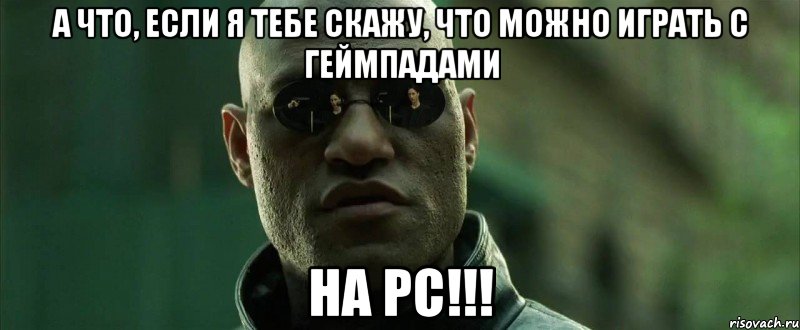 а что, если я тебе скажу, что можно играть с геймпадами на pc!!!