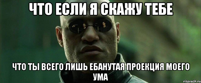 что если я скажу тебе что ты всего лишь ебанутая проекция моего ума, Мем  морфеус