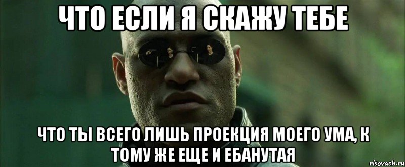 что если я скажу тебе что ты всего лишь проекция моего ума, к тому же еще и ебанутая