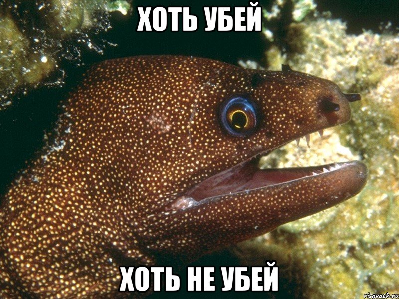 хоть убей хоть не убей, Мем мурена