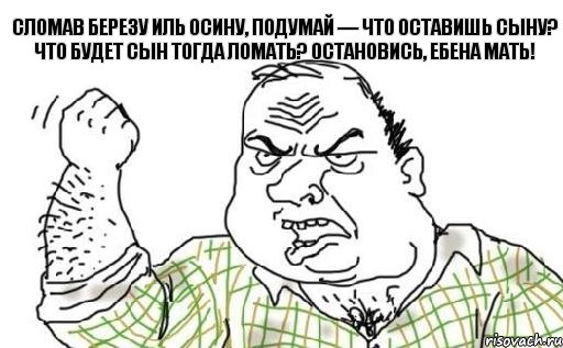 Сломав березу иль осину, подумай — что оставишь сыну? Что будет сын тогда ломать? Остановись, ебена мать!, Комикс Мужик блеать