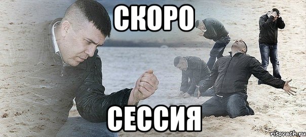 скоро сессия