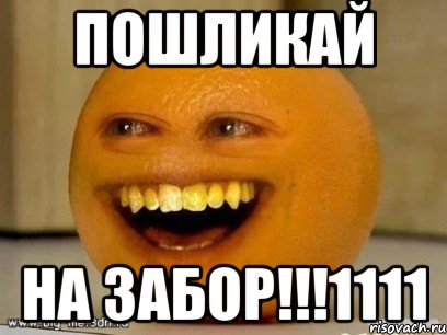 пошликай на забор!!!1111, Мем Надоедливый апельсин