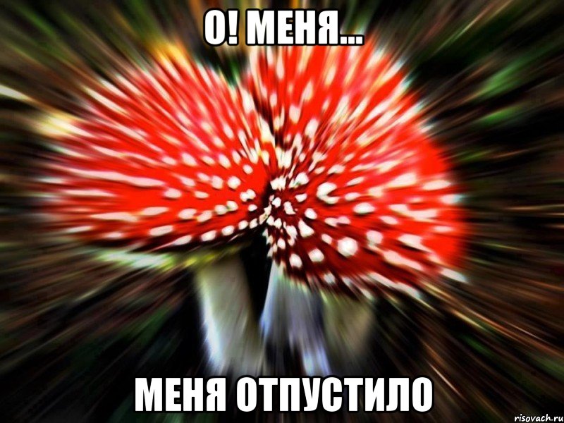 о! меня... меня отпустило, Мем наркоман штоле