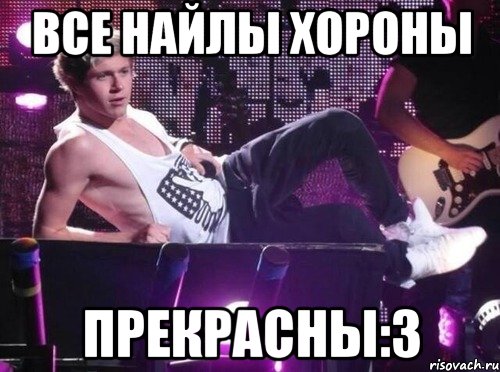 все найлы хороны прекрасны:3