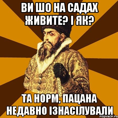 ви шо на садах живите? і як? та норм, пацана недавно ізнасілували, Мем Не царское это дело